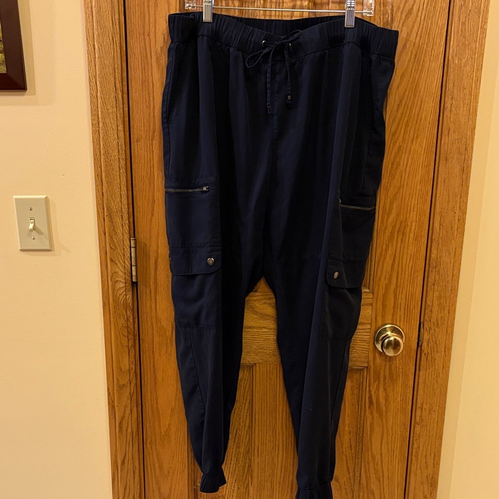 Banana Republic Dark Blue Cargo Pants
